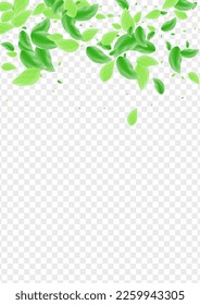 Green Foliage Background Transparent Vector. Greenery Organic Illustration. Pattern Card. Light Green Agriculture Texture. Plant Growing.