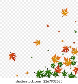 Green Foliage Background Transparent Vector. Plant Shape Illustration. Colorful Decor. Abstract Pattern. Ocher Maple Celebrate.
