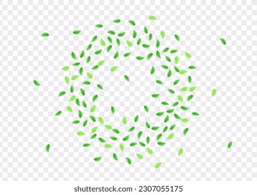 Green Foliage Background Transparent Vector. Sheet Flavor Card. Decoration Design. Greenish Shape Illustration. Greenery Aroma.