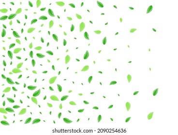 Green Foliage Background White Vector. Greenery Grow Design. Ecology Card. Light Green Organic Texture. Vegetation Bio.