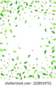 Green Foliage Background White Vector. Sheet Mint Design. Shape Card. Greenish Falling Texture. Greenery Watercolor.