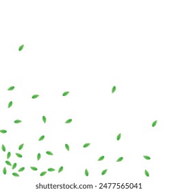 Green Foliage Background White Vector. Leaves Elegant Frame. Selective Card. Greenish Structure Design. Leaf Delicate.
