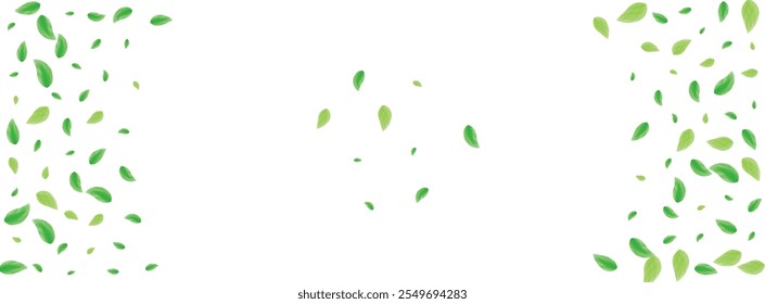 Green Foliage Background White Vector. Greenery Isolated Texture. Decoration Card. Greenish Delicate Design. Leaf Organic.