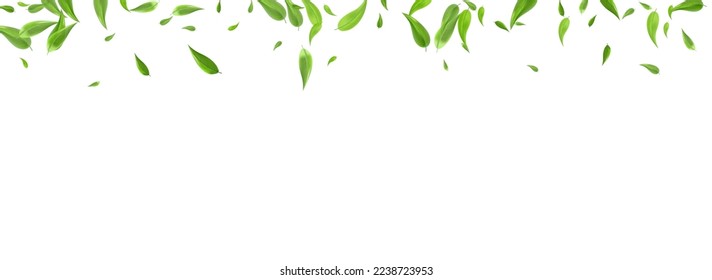 Green Foliage Blur Vector Panoramic White Background Banner. Tree Leaf Design. Mint Greens Organic Backdrop. Leaves Motion Branch.