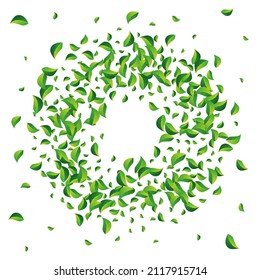 Green Foliage Blur Vector White Background. Swirl Leaves Poster. Olive Leaf Nature Template. Greens Falling Pattern.