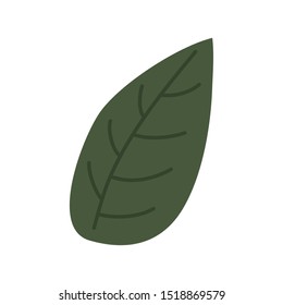 green foliage botanical leaf icon