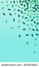 Green Foliage Ecology Vector Blue Background Plant. Fly Leaves Border. Forest Greens Abstract Brochure. Leaf Spring Wallpaper.