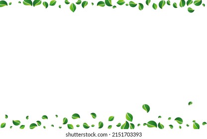 Green Foliage Ecology Vector White Background. Fly Greens Concept. Lime Leaf Falling Poster. Leaves Realistic Backdrop.