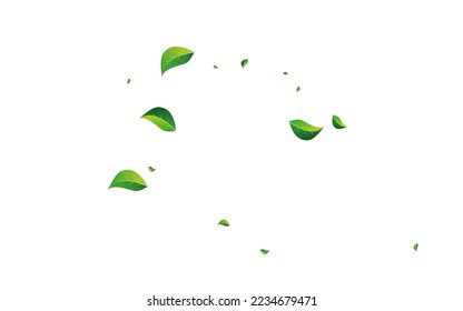 Green Foliage Ecology Vector White Background. Nature Leaves Poster. Lime Leaf Blur Wallpaper. Greens Flying Pattern.