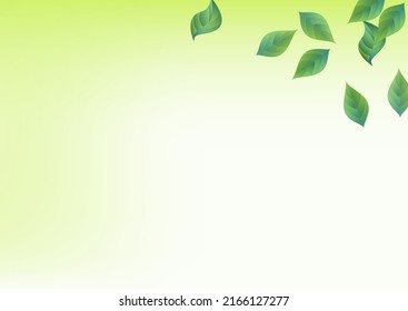 Green Foliage Fly Vektor Green Hintergrund Banner. Der Wald ist aus dem Design. Abstrakte Illustration von Sumpfblättern. Ökologie-Muster.
