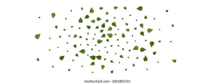 Green Foliage Fly Vector Panoramic White Background Wallpaper. Motion Leaf Plant. Swamp Leaves Ecology Banner. Greens Transparent Border.