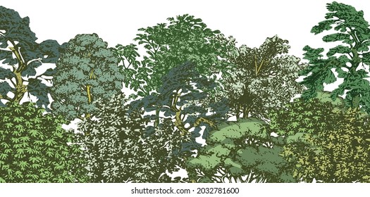 Green foliage forest garden wallpaper