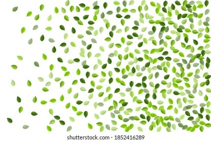 Green Foliage Forest Vector Border. Nature Leaves Design. Mint Greens Fly Pattern. Leaf Tea Illustration.