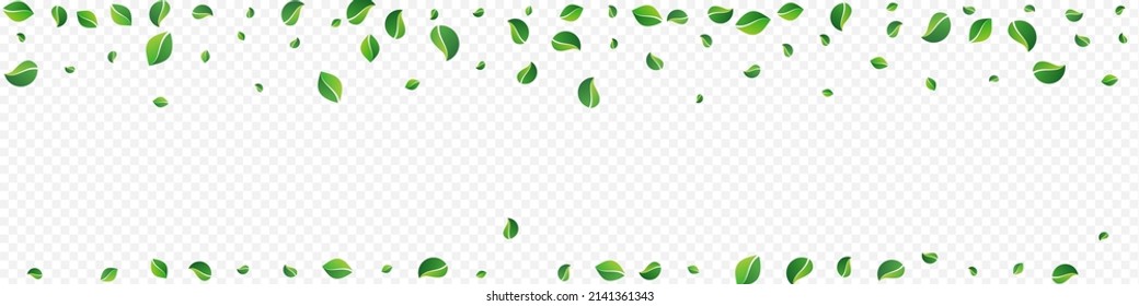 Green Foliage Fresh Vector Panoramic Transparent Background. Organic Leaf Poster. Mint Leaves Wind Illustration. Greens Motion Branch.