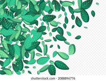 Green Foliage Fresh Vector Transparent Background Brochure. Fly Leaves Banner. Grassy Leaf Swirl Backdrop. Greens Transparent Design.