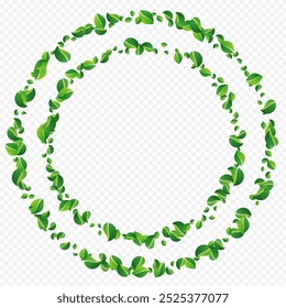 Green Foliage Fresh Vector Transparent Background. Motion Greens Wallpaper. Grassy Leaves Nature Backdrop. Leaf Tree Plant.