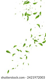 Green Foliage Fresh Vector White Background Wallpaper. Swirl Leaf Banner. Grassy Greens Organic Brochure. Leaves Herbal Design.