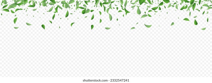 Green Foliage Herbal Vector Panoramic Transparent Background Template. Flying Leaves Design. Lime Greens Abstract Concept. Leaf Fly Plant.