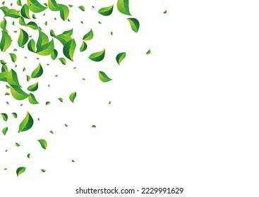Green Foliage Herbal Vector White Background. Wind Leaf Backdrop. Lime Leaves Fly Design. Greens Blur Poster.