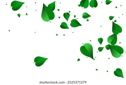 Green Foliage Herbal Vector White Background Brochure. Organic Greens Template. Swamp Leaf Abstract Backdrop. Leaves Fresh Banner.