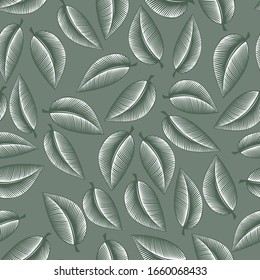 Green foliage, herbs, fresh basil. Seamless background with foliage, herbs, fresh basil. An old color engraving stylized as a drawing. Vector illustration.