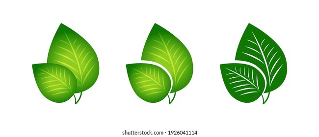 Green foliage icon. Vector illustration.