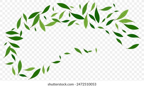 Green foliage leaves flying natural beverage advert. organic product background. botanical