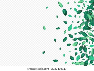 Green Foliage Motion Vector Transparent Background Border. Flying Greens Backdrop. Swamp Leaf Tree Banner. Leaves Blur Wallpaper.