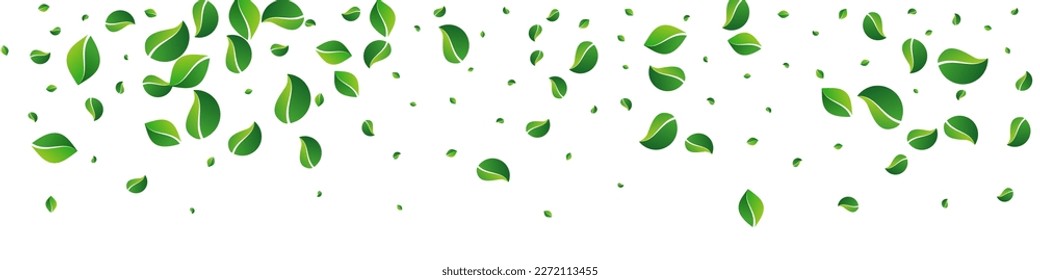 Green Foliage Realistic Vector Panoramic White Background. Ecology Leaf Wallpaper. Forest Leaves Abstract Design. Greens Transparent Template.