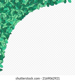 Green Foliage Realistic Vector Transparent Background Brochure. Swirl Greens Background. Olive Leaves Organic Wallpaper. Leaf Blur Template.