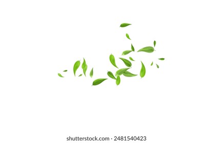 Green Foliage Realistic Vector White Background Illustration. Blur Greens Design. Forest Leaves Swirl Template. Leaf Tea Branch.