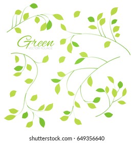 Green Foliage Set. Elegant Branches and Plants. Vector illustration