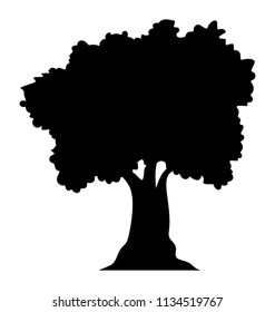 
A green foliage shady tree, sycamore glyph icon
