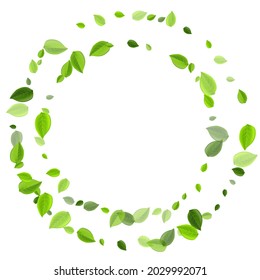 Green Foliage Spring Vector Pattern. Transparent Leaf Illustration. Mint Greens Realistic Background. Leaves Forest Backdrop.