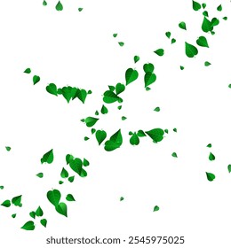 Green Foliage Spring Vector White Background Design. Ecology Leaves Wallpaper. Mint Greens Transparent Banner. Leaf Abstract Template.
