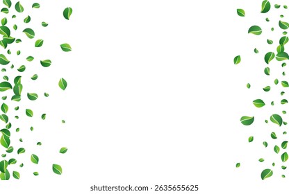 Green Foliage Spring Vector White Background. Flying Leaves Backdrop. Swamp Greens Transparent Plant. Leaf Blur Template.