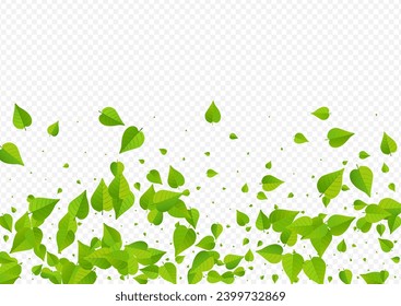 Green Foliage Swirl Vector Transparent Background Pattern. Ecology Leaf Illustration. Lime Greens Nature Brochure. Leaves Flying Poster.