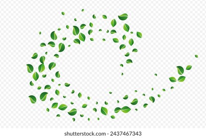 Green Foliage Swirl Vector Transparent Background. Organic Leaf Poster. Grassy Greens Flying Brochure. Leaves Spring Illustration.