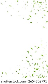 Green Foliage Swirl Vector White Background Pattern. Nature Leaves Poster. Lime Greens Herbal Branch. Leaf Abstract Design.
