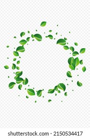 Green Foliage Tea Vector Transparent Background. Wind Leaves Illustration. Swamp Greens Fresh Poster. Leaf Blur Design.