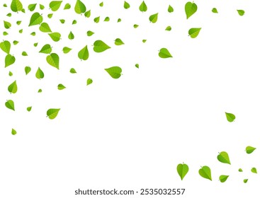 Green Foliage Tea Vector White Background Pattern. Transparent Leaves Template. Olive Leaf Herbal Illustration. Greens Fresh Brochure.