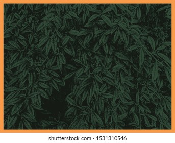 Green foliage texture, leaf nature background. vector illustration