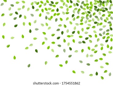 Green Foliage Tree Vector Design. Nature Greens Background. Mint Leaf Swirl Wallpaper. Leaves Abstract Template.