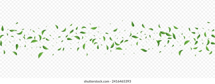 Green Foliage Tree Vector Panoramic Transparent Background Template. Ecology Leaves Illustration. Olive Greens Fly Banner. Leaf Forest Border.