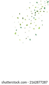 Grüner Blattbaum, Vektorweißer Hintergrund. Ökologie Grünen Banner. Das Konzept der Minenwälder. Leaf-Kräutermuster