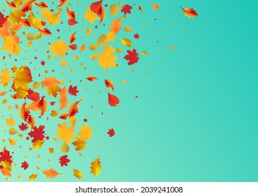 Green Foliage Vector Blue Background. Nature Floral Texture. Autumnal Isolated Leaves Illustration. September Card.