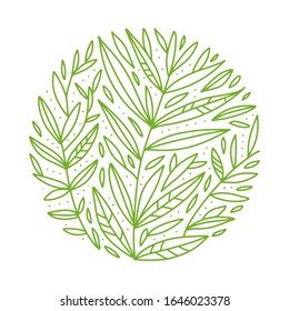 Green foliage. Vector botanical round sketch of tea buch, branch, leaves on white background. Outlined design in circle. Hand drawn vintage illustration. Organic drink.