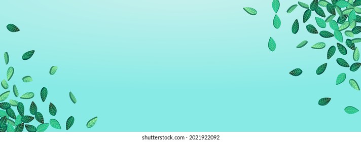 Green Foliage Wind Vector Panoramic Blue Background Brochure. Tree Leaves Design. Grassy Greens Tea Branch. Leaf Realistic Banner.