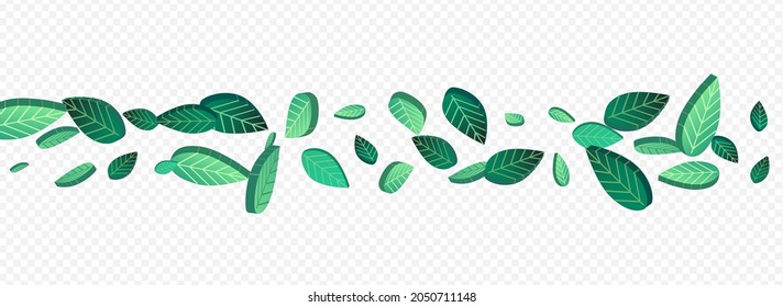 Green Foliage Wind Vector Panoramic Transparent Background Backdrop. Fly Leaf Design. Forest Greens Tea Pattern. Leaves Abstract Concept.
