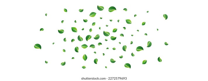 Green Foliage Wind Vector Panoramic White Background. Transparent Greens Plant. Swamp Leaf Blur Design. Leaves Nature Banner.